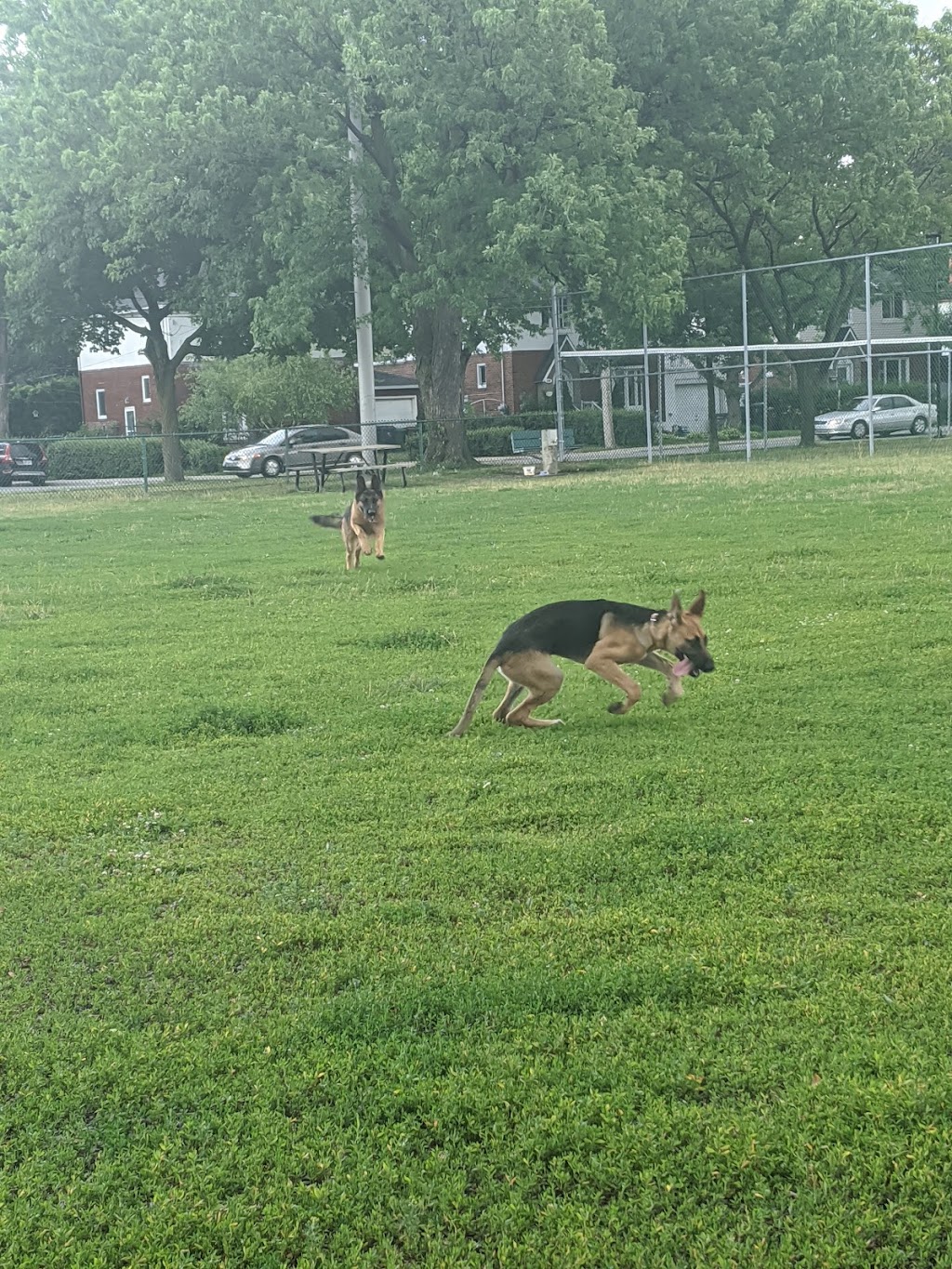 Parc Cousineau dog park | Saint-Laurent, Montreal, QC H4L, Canada | Phone: (514) 872-0311