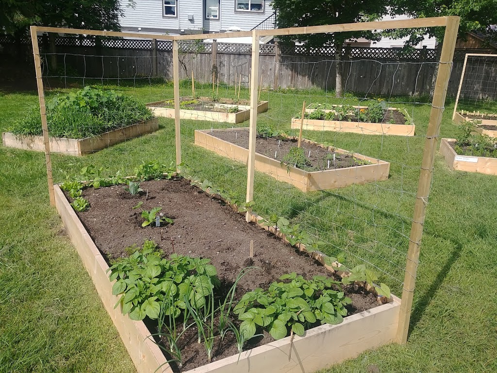 The Growth Project Garden Plots | 32715 Cherry Ave, Mission, BC V2V 2T8, Canada | Phone: (778) 709-0399