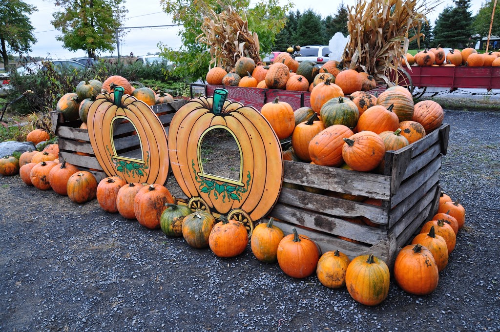 Cannamore Orchard | 1480 County Rd 32, Crysler, ON K0A 1R0, Canada | Phone: (613) 448-3633