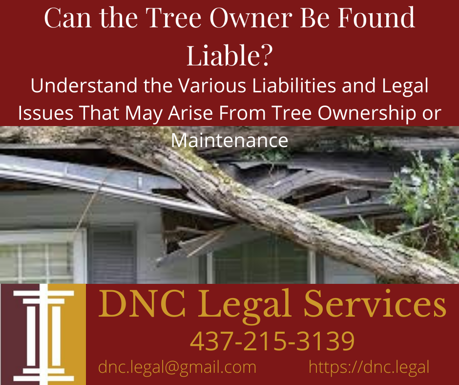 DNC Legal Services | Kings Point Plaza, Brampton, ON L6V 4J7, Canada | Phone: (437) 215-3139