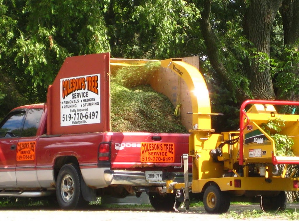 Colesons Tree Service | 423 Woodley Rd, Waterford, ON N0E 1Y0, Canada | Phone: (519) 770-6497