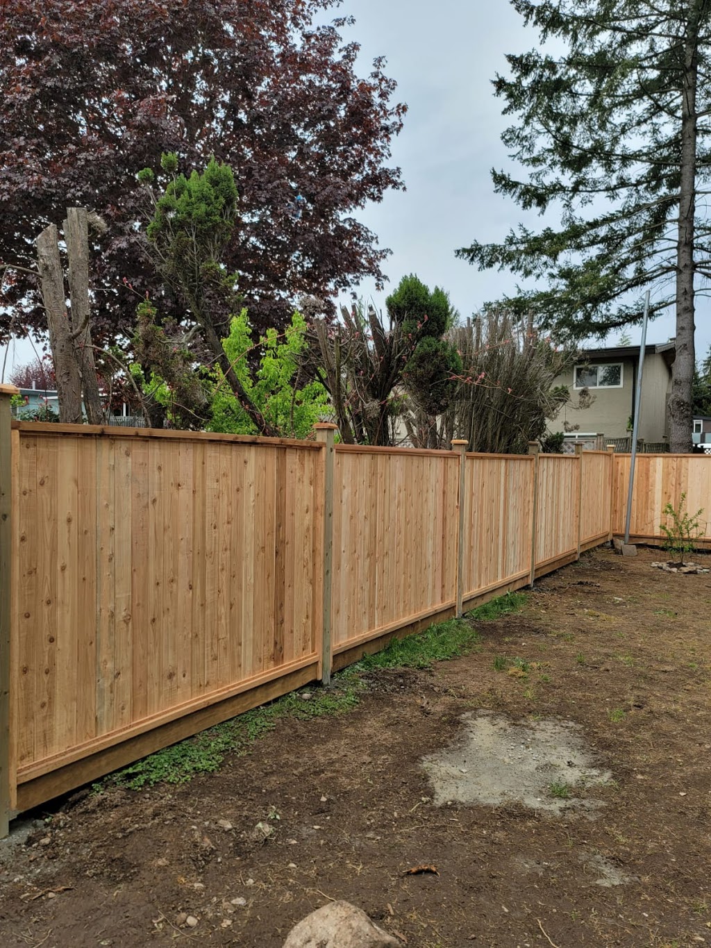 Bagha cedar & chain link fencing | 32625 Marshall Rd, Abbotsford, BC V2T 1A8, Canada | Phone: (778) 551-3628