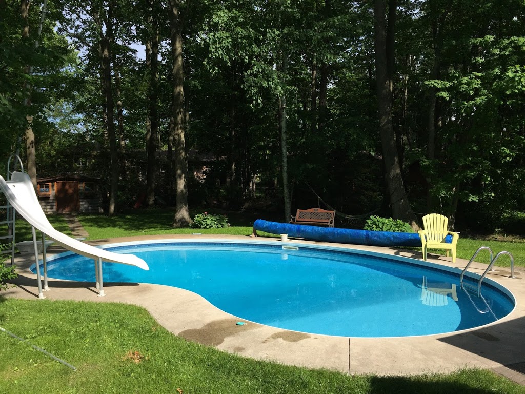 Backyard Aquatics | 21 Artesian Ave, Holland Landing, ON L9N 1J3, Canada | Phone: (416) 623-4069