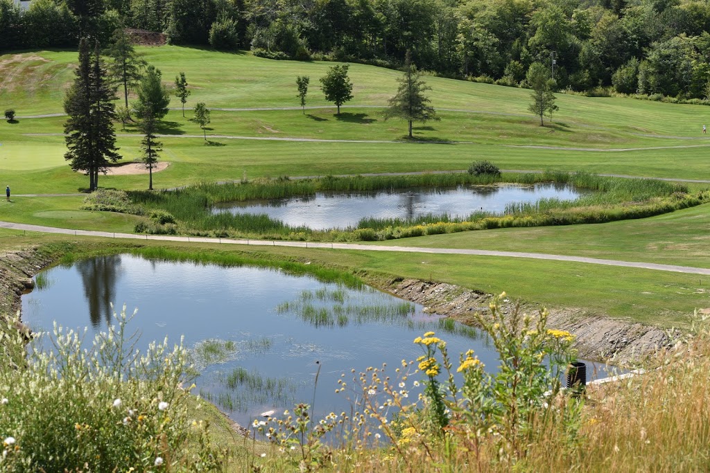 Club de golf Mont Tourbillon | 55 Montée du Golf, Lac-Beauport, QC G3B 0K5, Canada | Phone: (418) 849-4418