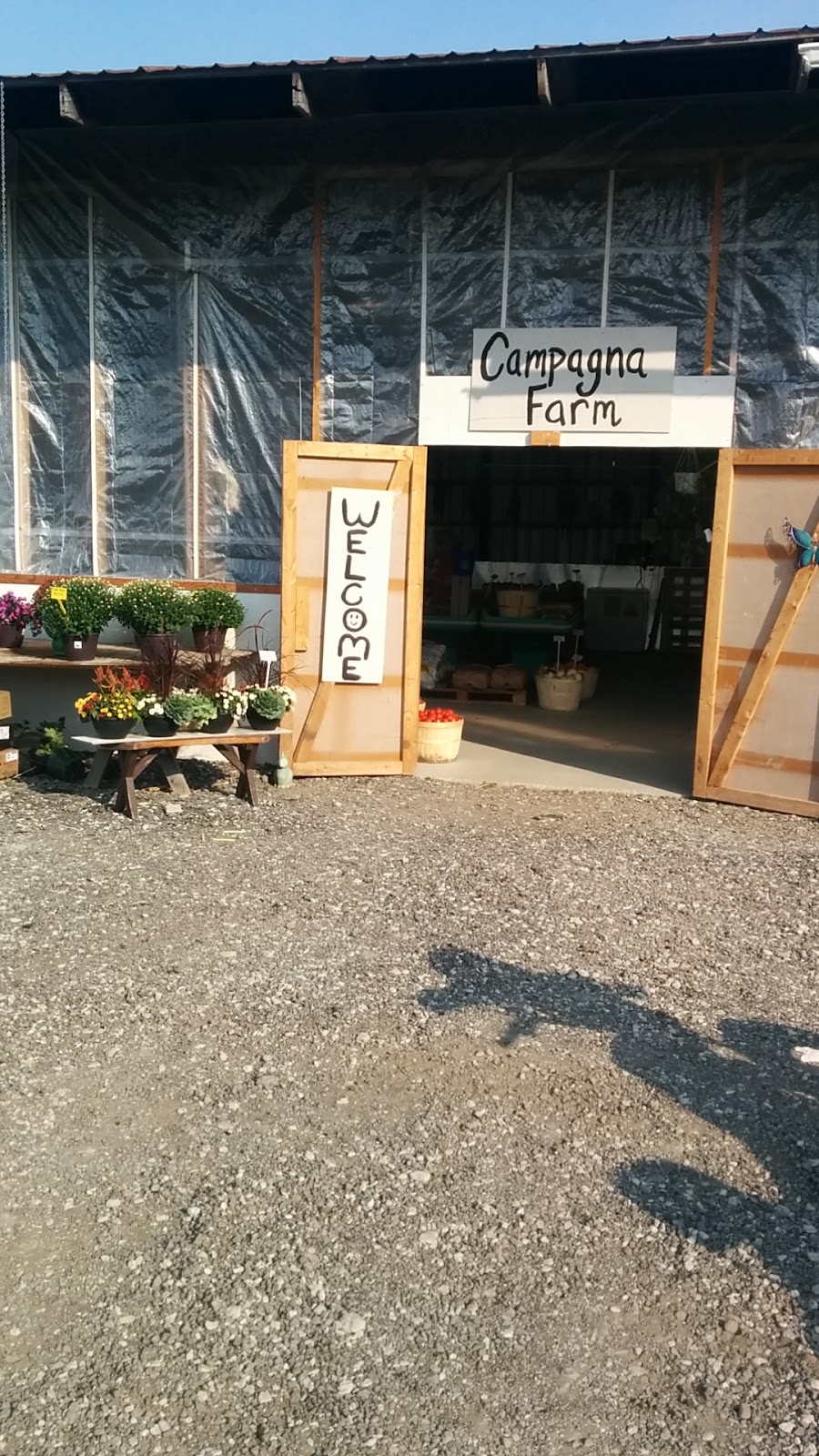 Campagna farm Inc | 12110 Jane St, Maple, ON L6A 1S1, Canada | Phone: (416) 990-6818