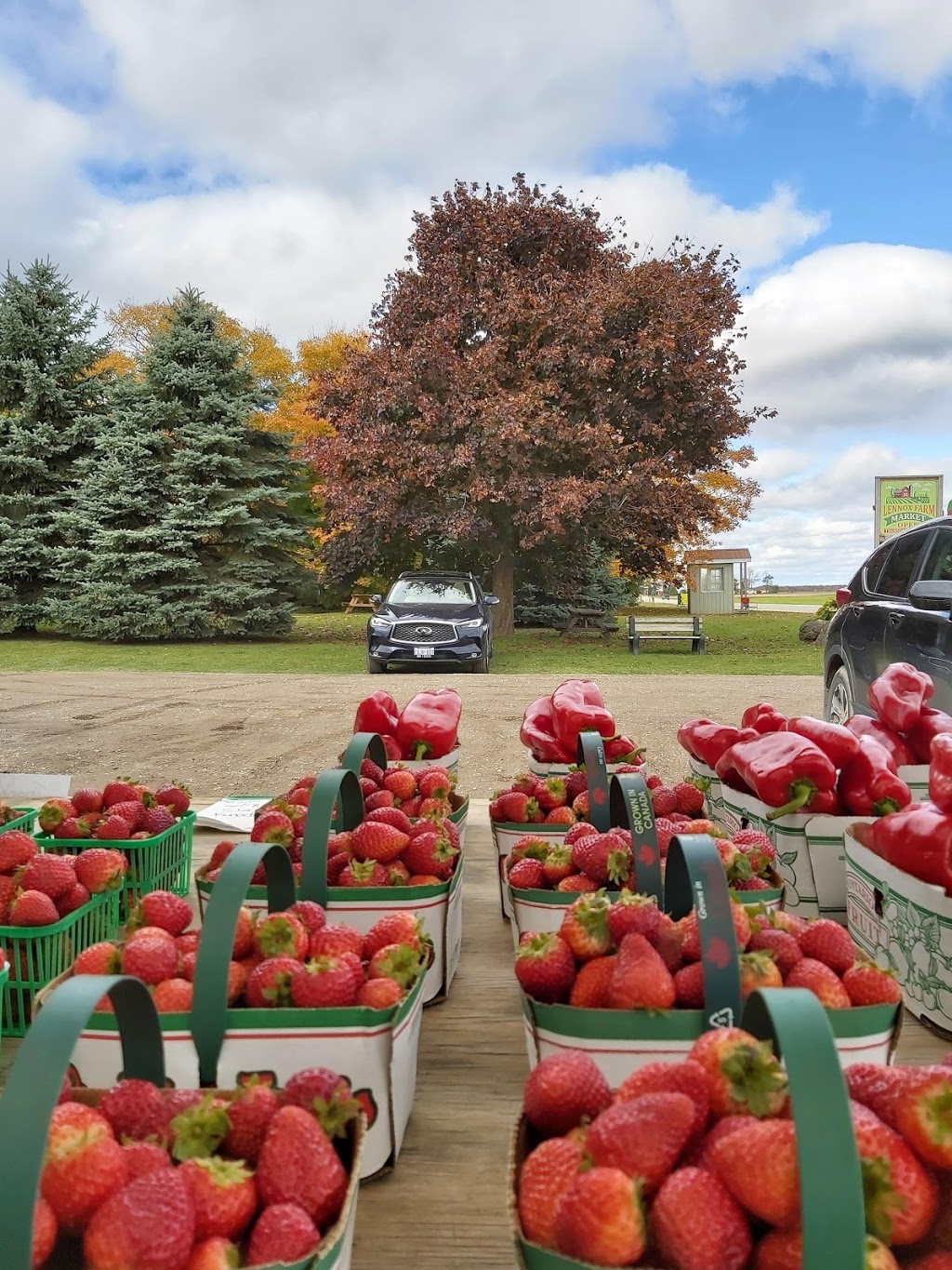 Lennox Farm Ltd | 518024, Dufferin County Rd 124, Melancthon, ON L9V 1V9, Canada | Phone: (519) 925-6444