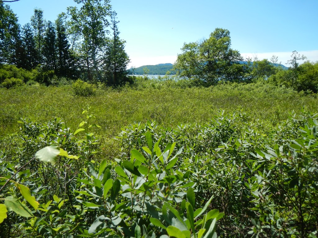 Installation septique - caractérisation environnementale | 9 Av. Lanning suite 103, Saint-Sauveur, QC J0R 1R6, Canada | Phone: (450) 644-0425