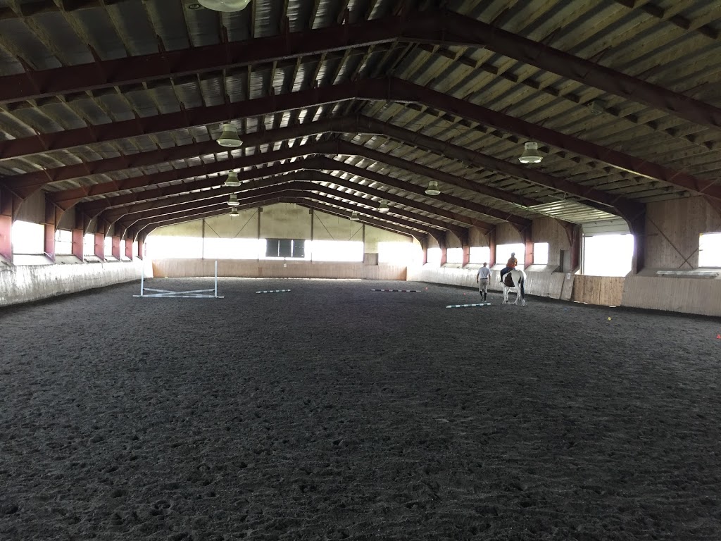 Benchmark Equestrian | 12195 ON-27, Kleinburg, ON L0J 1C0, Canada | Phone: (905) 893-9566