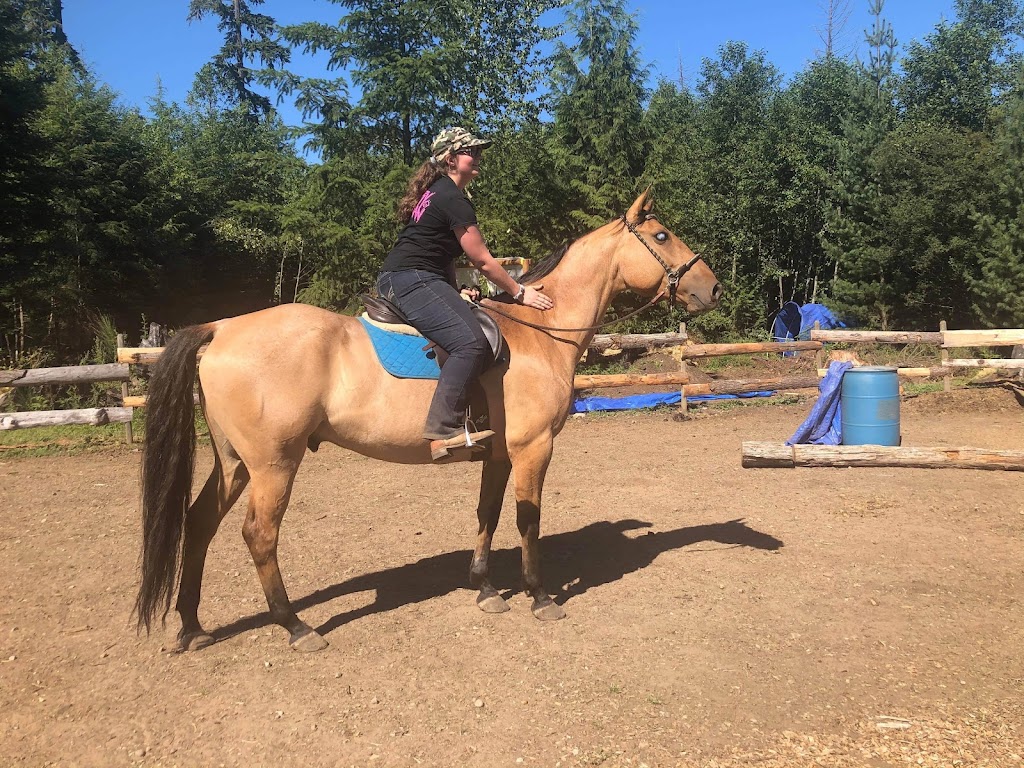 Leslie Horsemanship | 1890 Sooke Lake Rd, Shawnigan Lake, BC V0R 2W3, Canada | Phone: (250) 806-0287