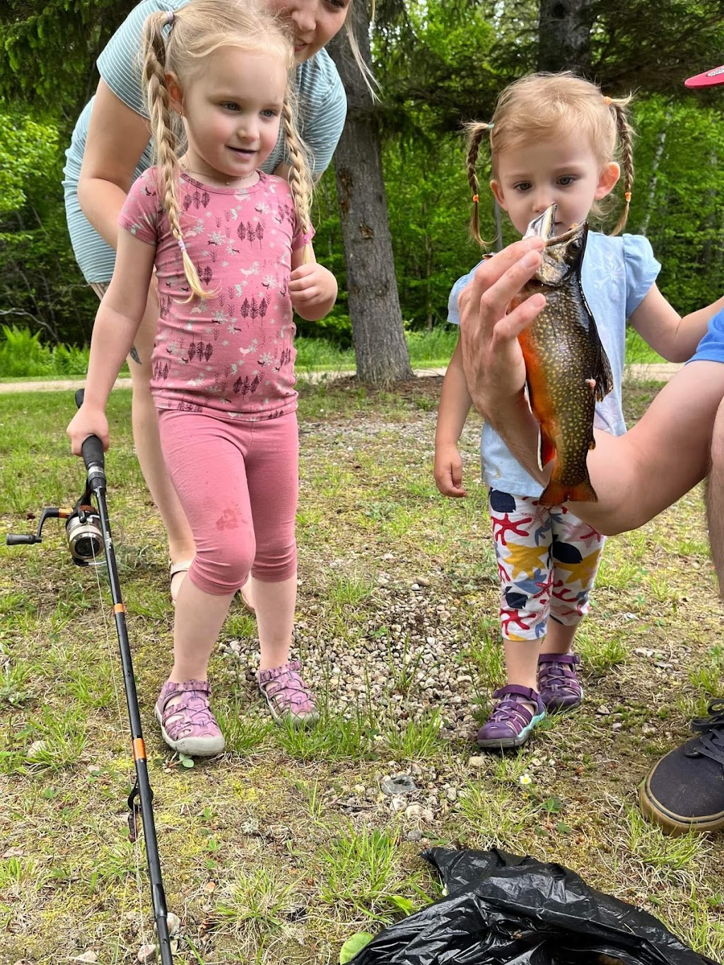 Étang de pêche et locations chalets | 13 Rue Mgr Savard, Clermont, QC G4A 1E5, Canada | Phone: (418) 439-2660