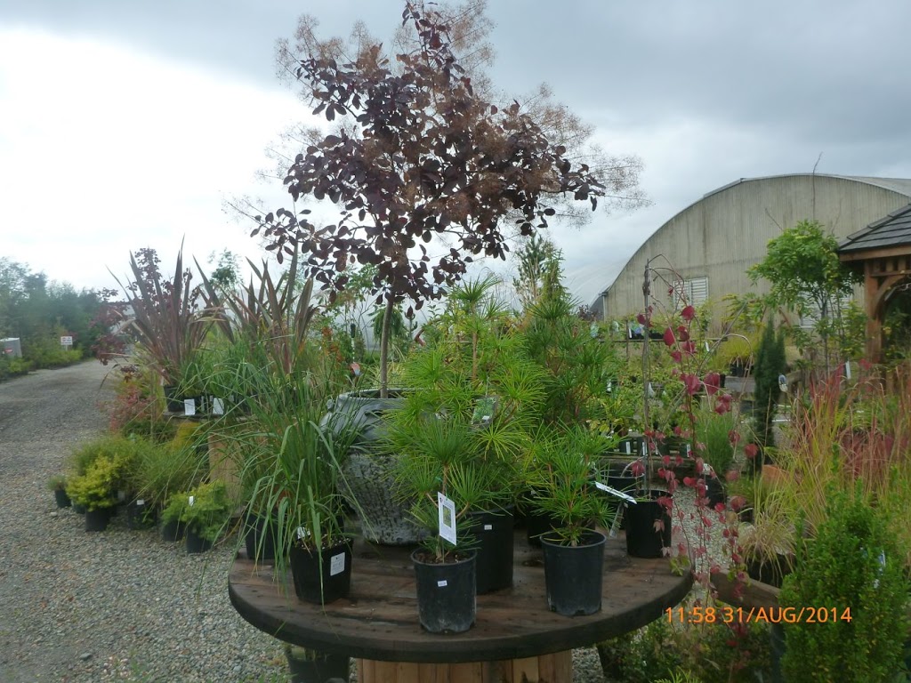 Its About Thyme Nursery Ltd | 7509 Meadow Ave, Burnaby, BC V5J 4Z2, Canada | Phone: (604) 454-0766