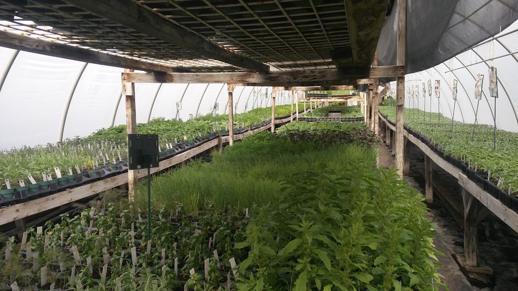 Grumpas Organic Greenhouses | 7871 Concession Rd 3, Lisle, ON L0M 1M0, Canada | Phone: (705) 424-9920