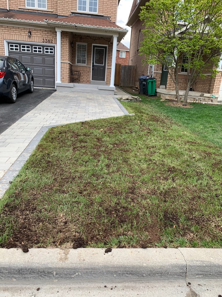 Above All Green Lawns | 1063 Deacon Dr, Milton, ON L9T 5S5, Canada | Phone: (905) 399-4303