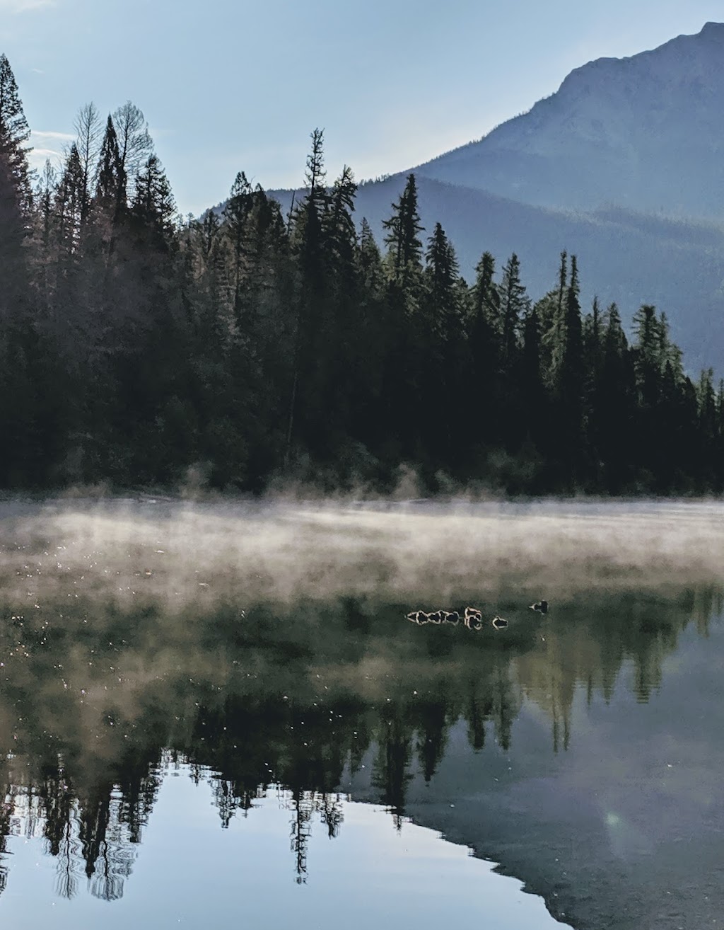 Whiteswan Lake Provincial Park - Alces Lake campground | East Kootenay F, BC V0B 1B0, Canada | Phone: (250) 422-3003