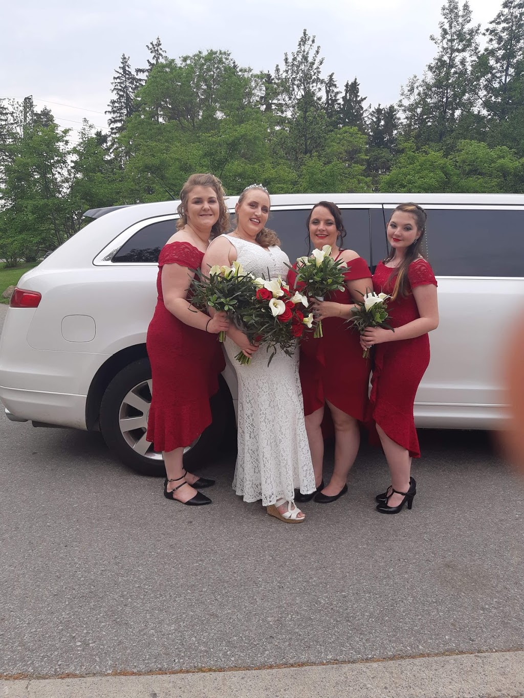 Mermaid Luxury Limo - Niagara Falls | 4129 Stanley Ave, Niagara Falls, ON L2E 7H4, Canada | Phone: (905) 357-2400