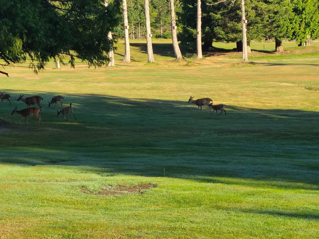 Gabriola Golf & Country Club | 825 South Rd, Gabriola, BC V0R 1X0, Canada | Phone: (250) 247-8822