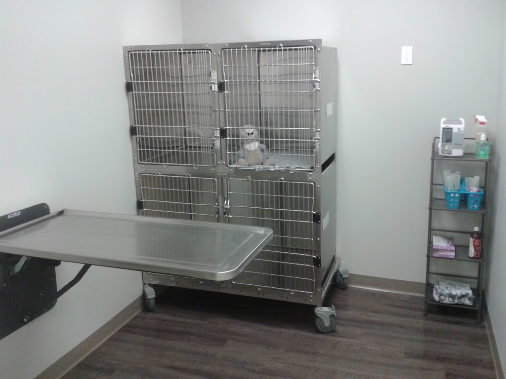 Kipling Animal Hospital | 2141 Kipling Ave #8, Etobicoke, ON M9W 4K8, Canada | Phone: (647) 351-0333