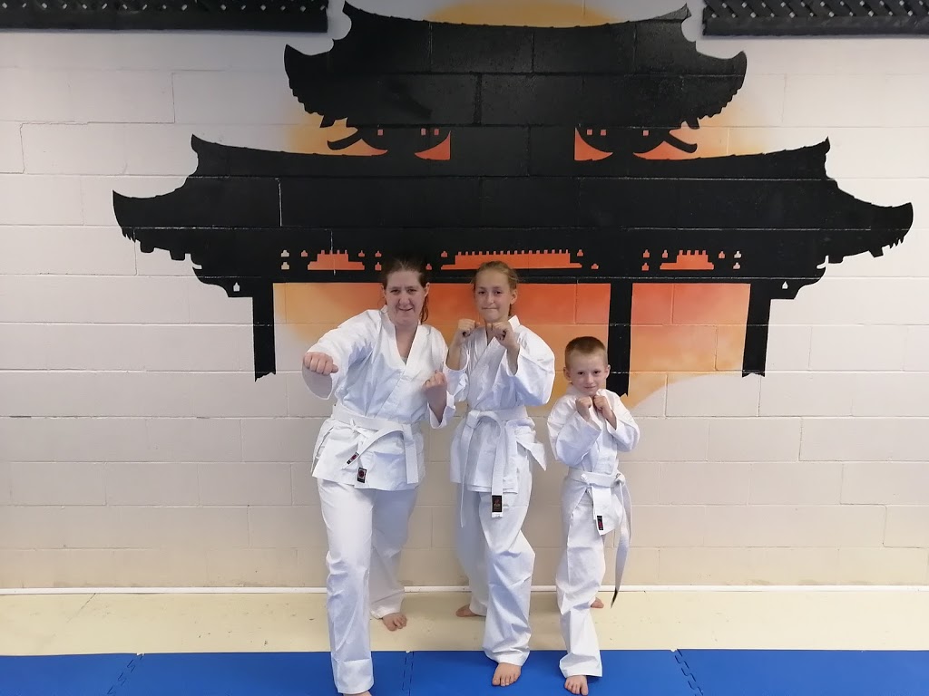 Karate Kobayashi Hombu Dojo | 854 Montée Masson, Terrebonne, QC J6W 2C7, Canada | Phone: (450) 914-2191