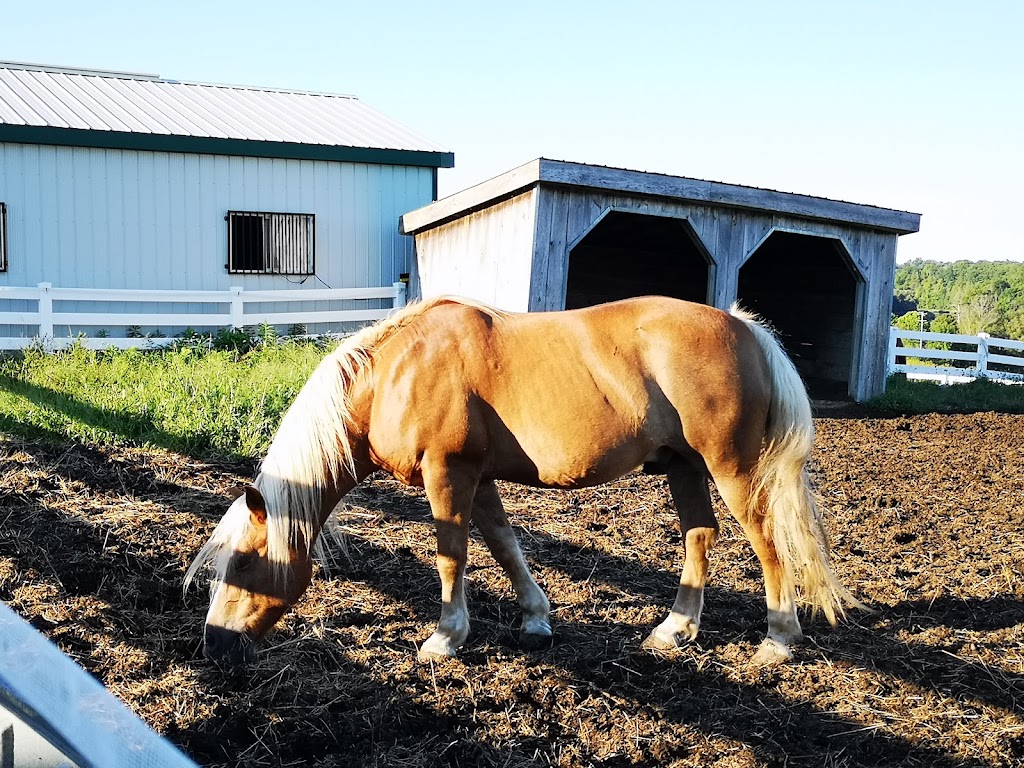 Plover Mills Farms Inc | 22946 Valleyview Rd, Thorndale, ON N0M 2P0, Canada | Phone: (519) 461-1076