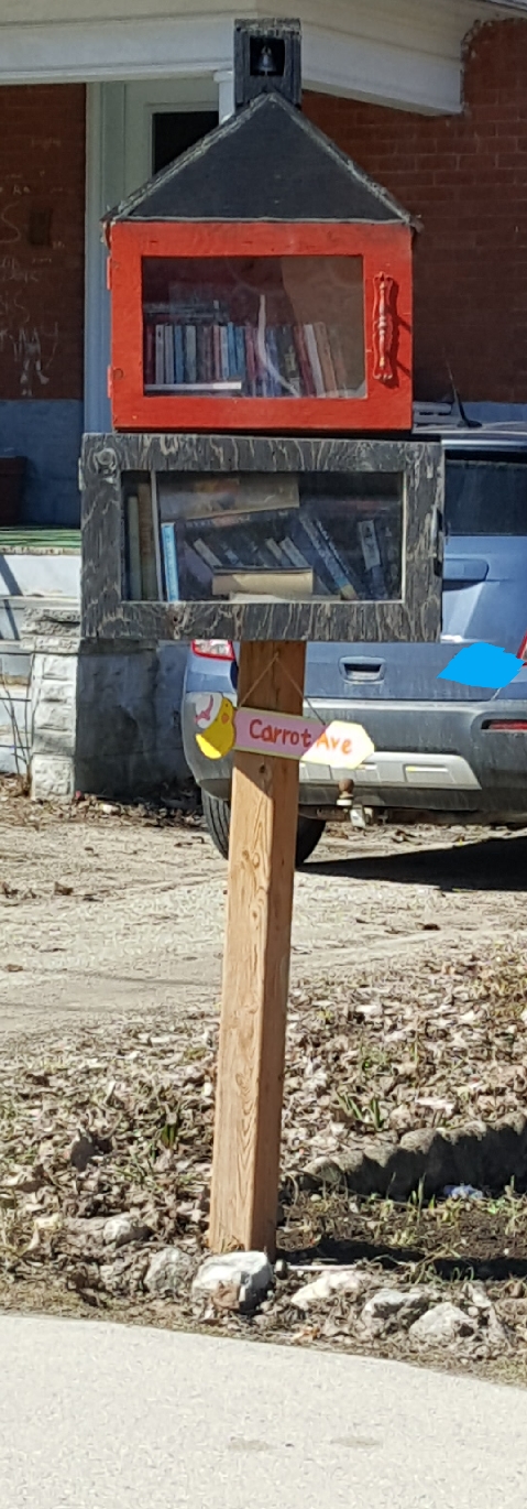 Little Free library | Durham, ON N0G, Canada