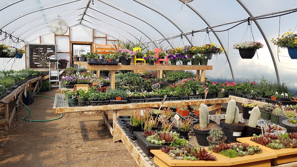 Broderick Garden Centre | 420 Saskatchewan Ave E, Outlook, SK S0L 2N0, Canada | Phone: (306) 867-8999