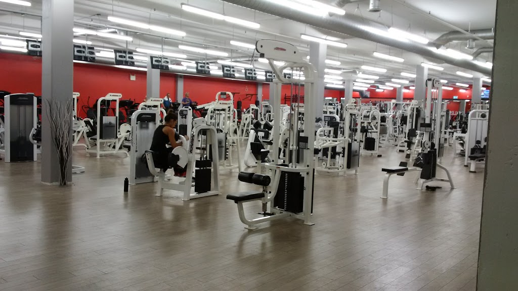 Body Vision Fitness Inc | 9325 Yonge St #32, Richmond Hill, ON L4C 1A8, Canada | Phone: (905) 881-6685