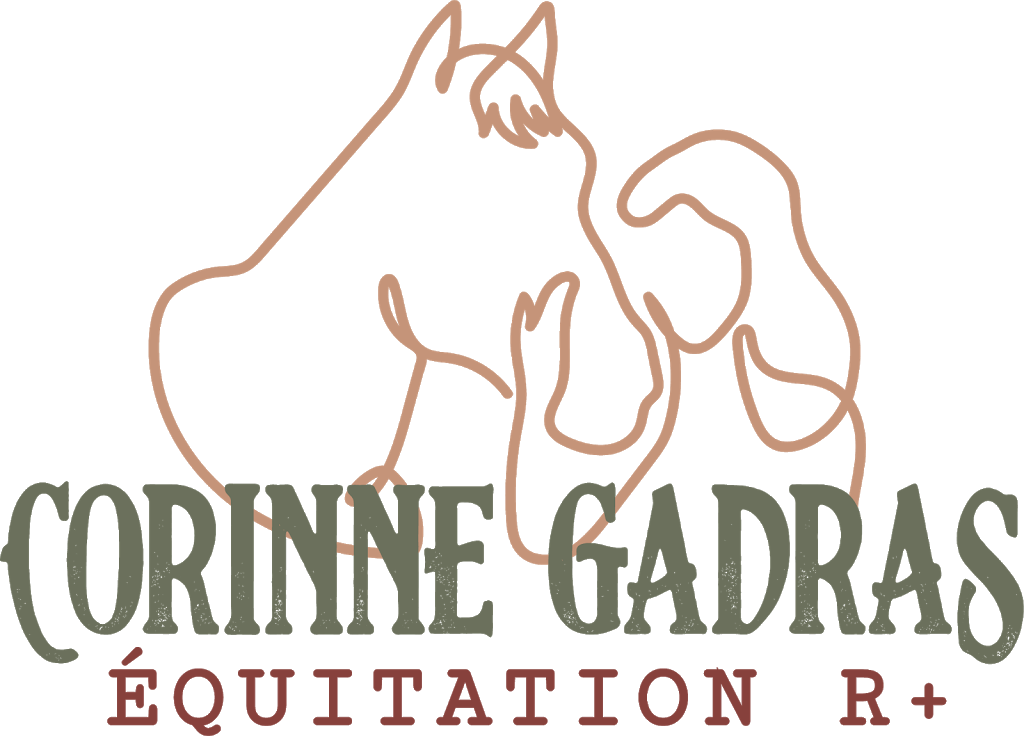 Corinne Gadras - Équitation R+ | 35 Rang Petit Fossambault, Pont-Rouge, QC G3H 2L8, Canada | Phone: (581) 984-1154