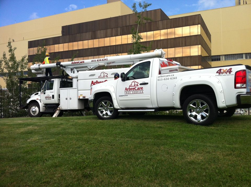 ArbreCare Tree Service | 150 Binnington Ct, Kingston, ON K7M 8N1, Canada | Phone: (613) 634-6341