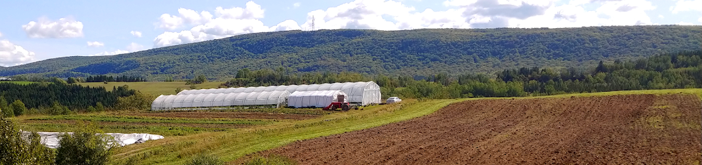 Jardins Beaux-Lieux | 42 Chem. de la Fonderie, Saint-Mathieu-de-Rioux, QC G0L 3T0, Canada | Phone: (418) 930-0753