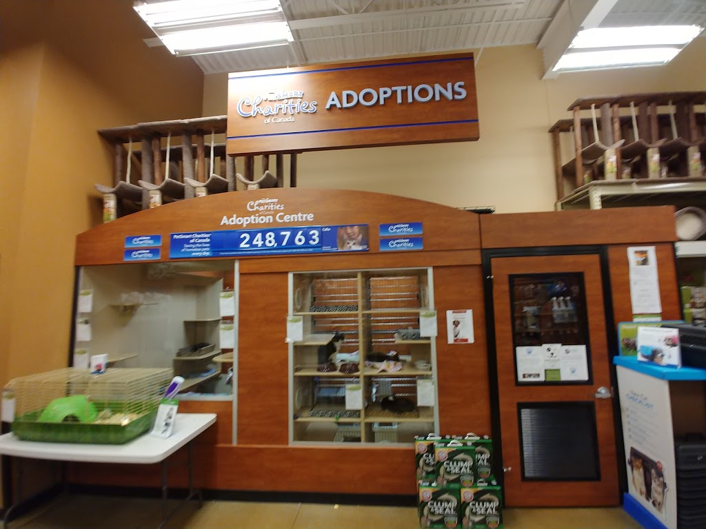 PetSmart | 2311 Appleby Line Unit 2, Burlington, ON L7L 0J3, Canada | Phone: (905) 332-7246