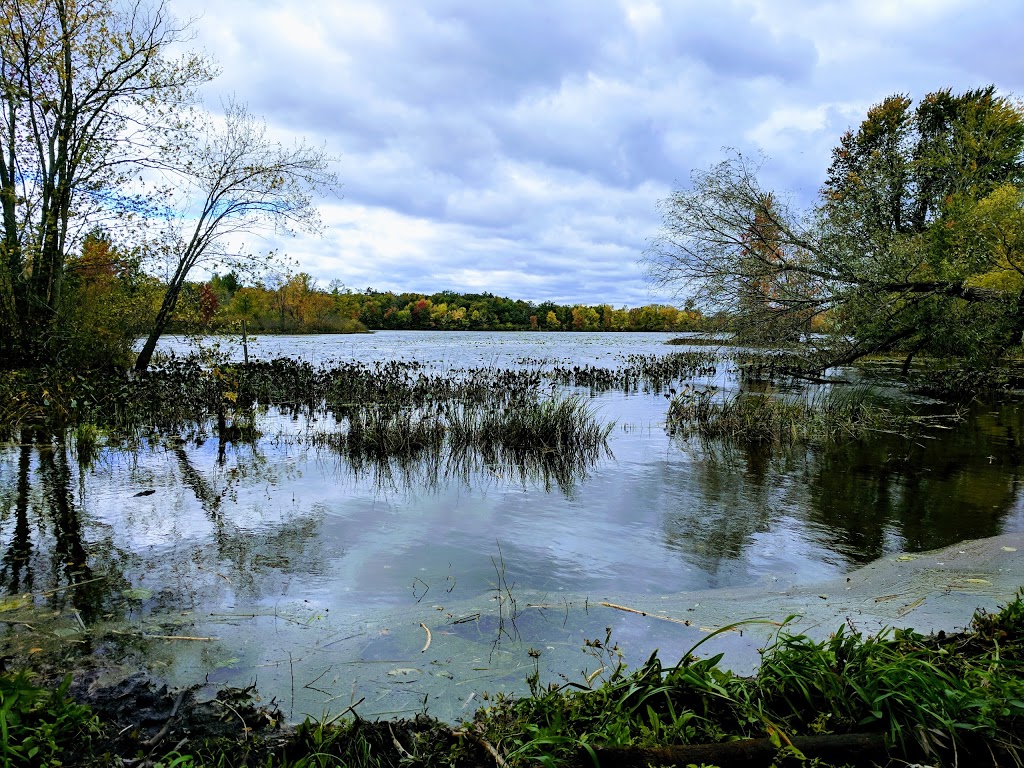 Britannia Conservation Area | Ottawa River Pathway, Ottawa, ON K2B 5X1, Canada