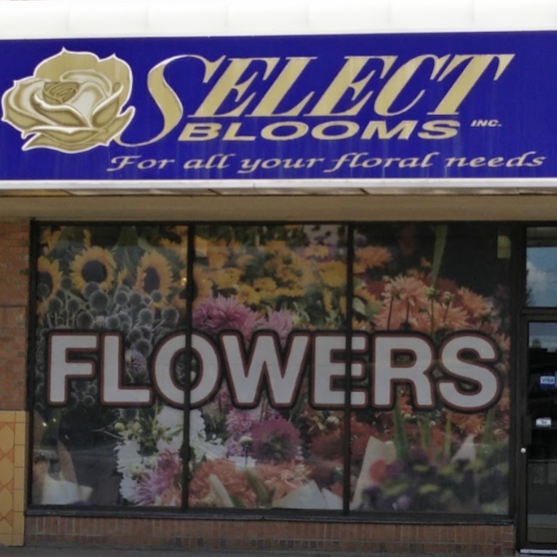 Select Blooms | 1675 Tenth Line Rd, Orléans, ON K1E 3P6, Canada | Phone: (613) 837-9966