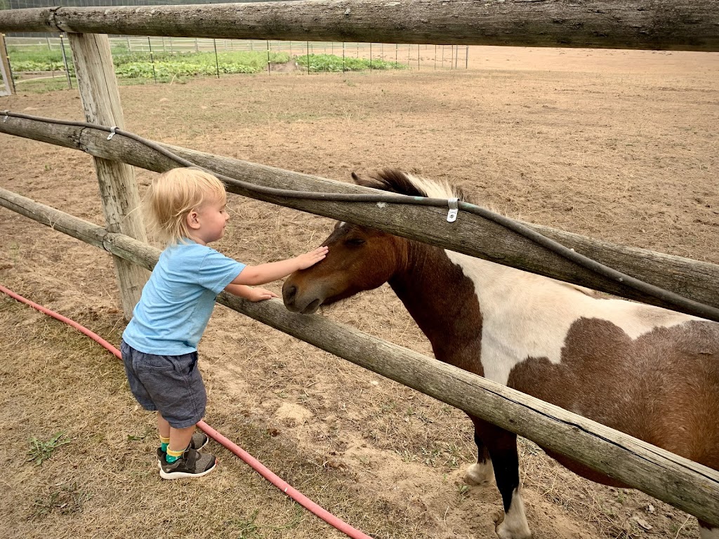 Owl Mountain Ranch | 701 Border Rd, Christina Lake, BC V0H 1E0, Canada | Phone: (250) 447-9442