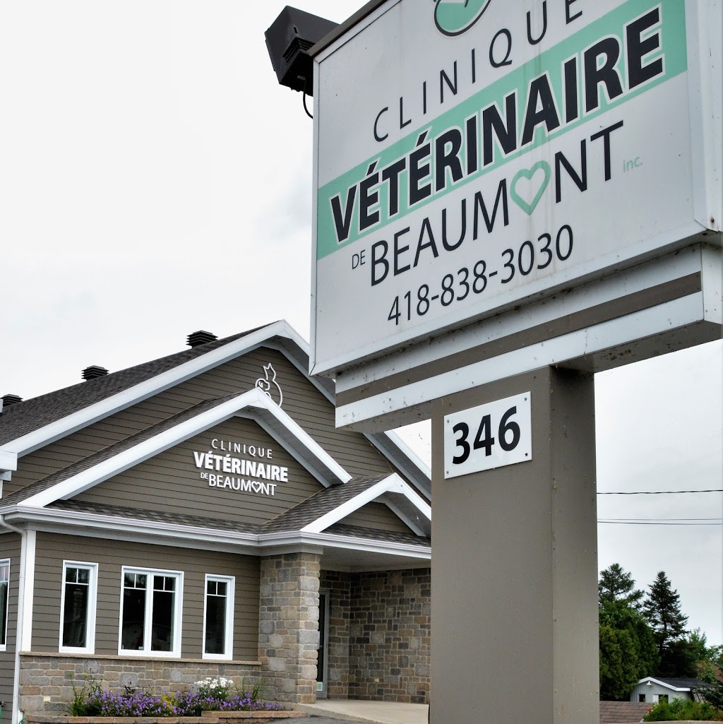 Clinique Vétérinaire de Beaumont | 346 Route du Fleuve, Beaumont, QC G0R 1C0, Canada | Phone: (418) 838-3030