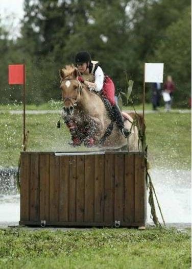 ABEquestrian | 3950 88 St, Delta, BC V4K 3N3, Canada | Phone: (778) 892-0616