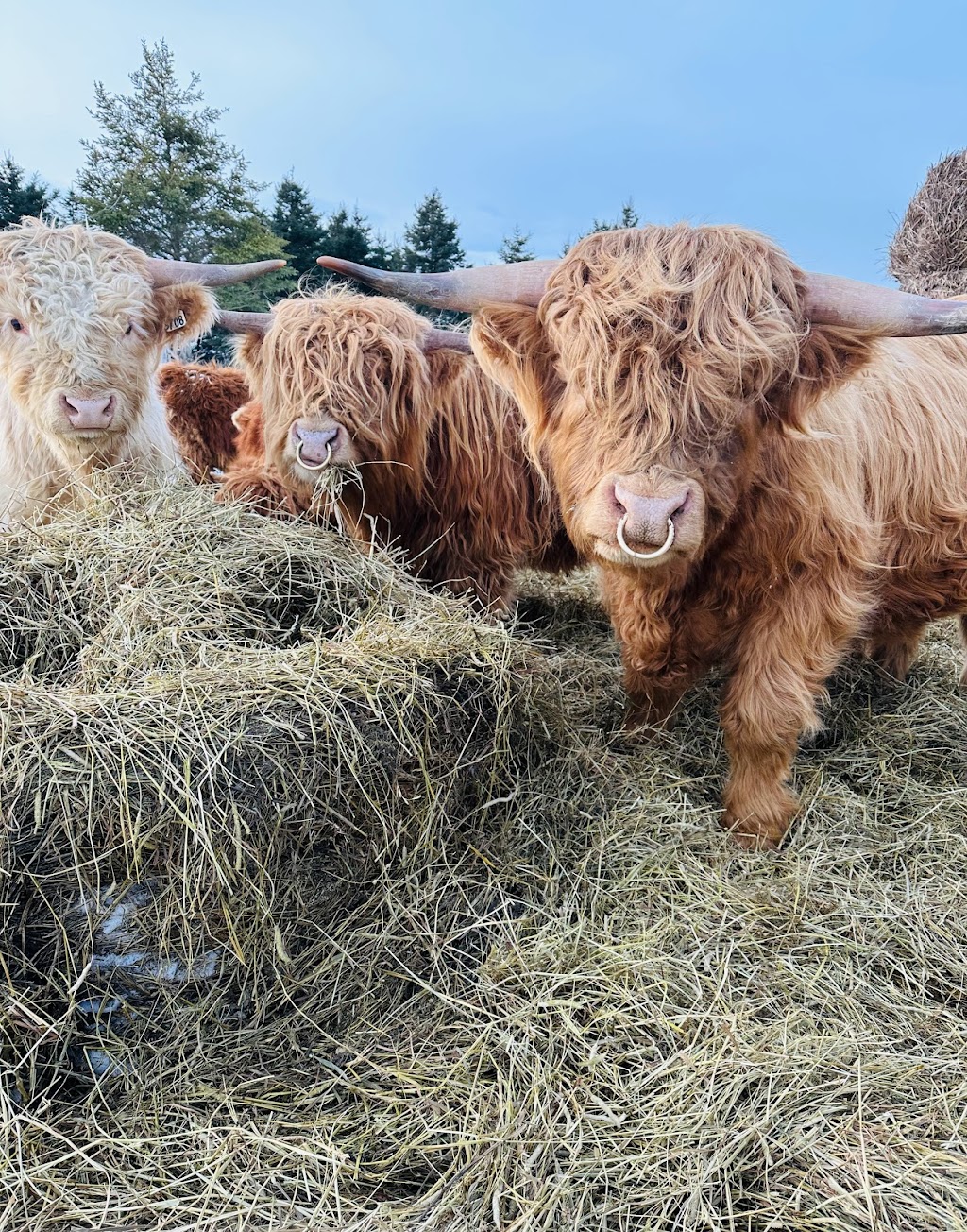 Ferme ÉcoLand des Basques | 20 Rte 132 E, Trois-Pistoles, QC G0L 4K0, Canada | Phone: (418) 712-0336