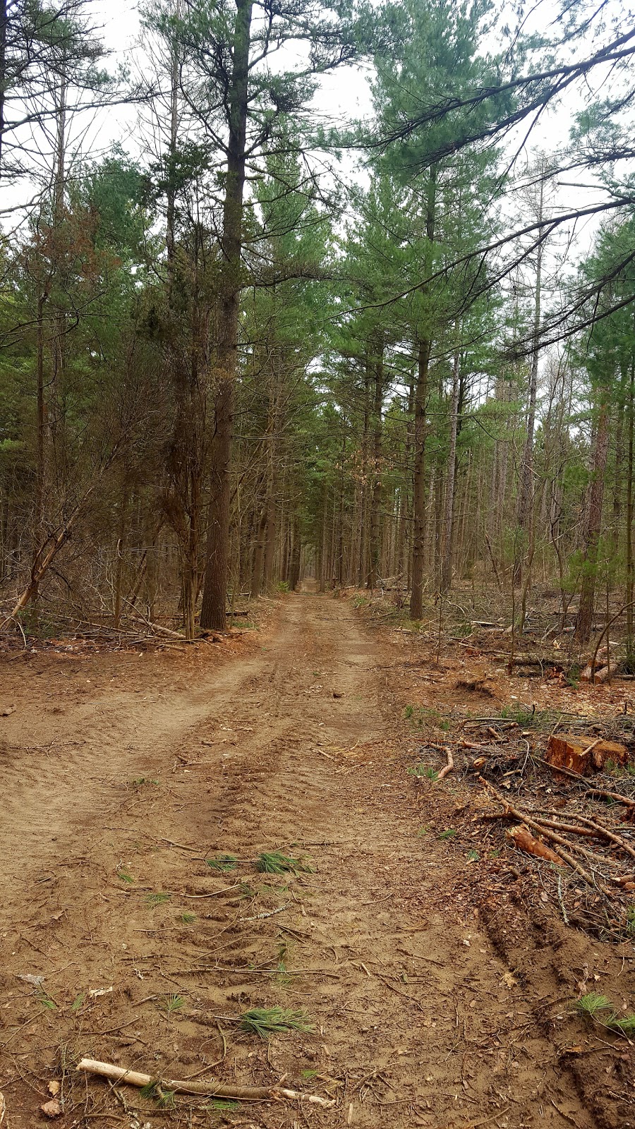 St. Williams Conservation Reserve - Turkey Point Tract | Regional Road 10, St Williams, ON N0E 1P0, Canada