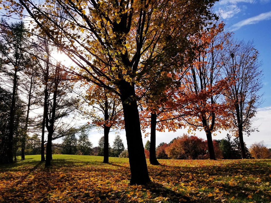 Parc de lAncienne-Pépinière | Montreal, QC H1M 1R7, Canada