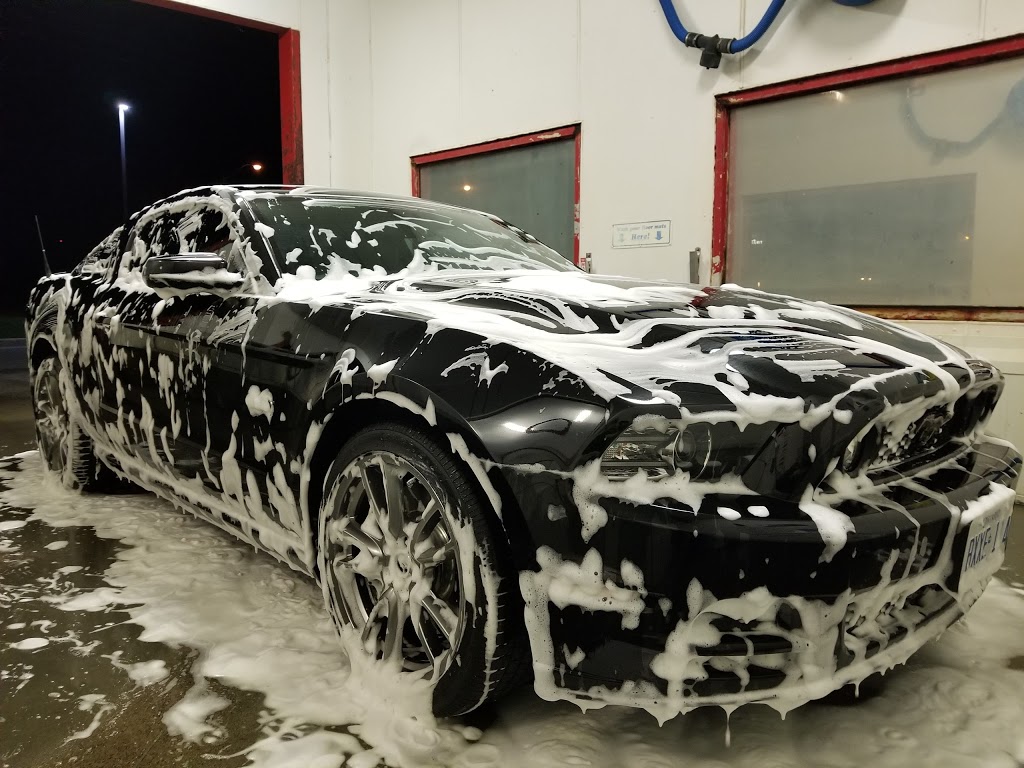 Fat Cat Dog & Car Wash | 165 Main St N, Rockwood, ON N0B 2K0, Canada | Phone: (519) 856-0222