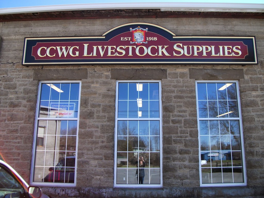 CCWG Livestock - Carleton Place - Ontario | 142 Franktown Rd, Carleton Place, ON K7C 3P3, Canada | Phone: (613) 257-2714 ext. 5