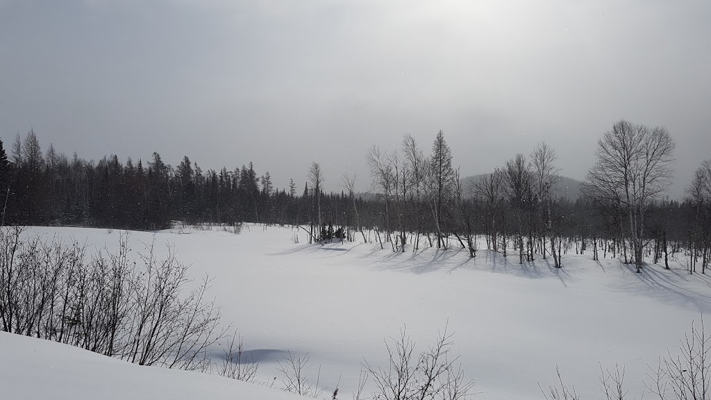 Les Écuries Entre Monts Et Marées | 645 Rang Saint Antoine, Saint-Irénée, QC G0T 1V0, Canada | Phone: (418) 452-3261