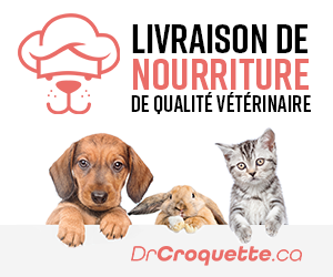 Dr Croquette | 200 Av Victoria, Saint-Lambert, QC J4P 2H6, Canada | Phone: (450) 671-7264