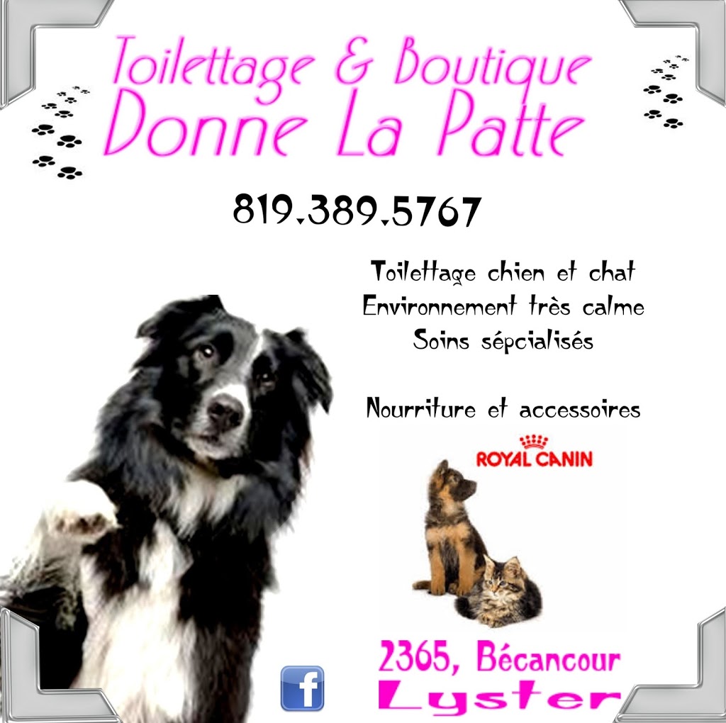 Toilettage Donne La Patte | 2365 Rue Bécancour, Lyster, QC G0S 1V0, Canada | Phone: (819) 389-5767