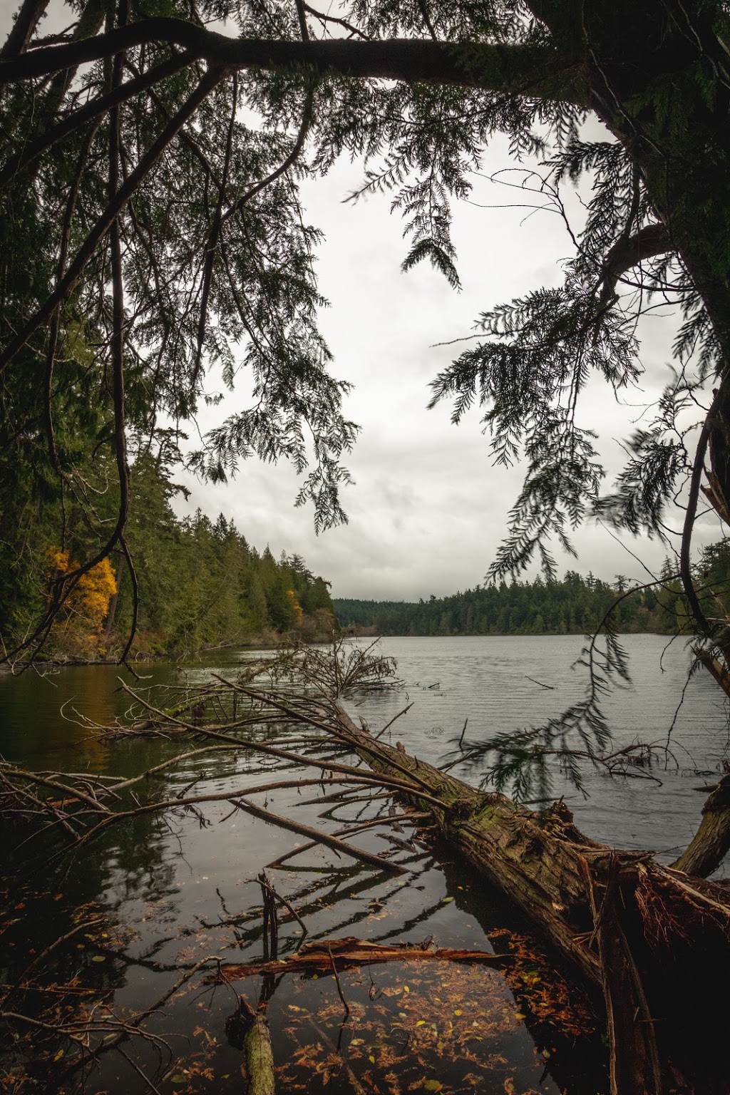 Pass Lake Trailhead | Fidalgo Island, Anacortes, WA 98221, USA