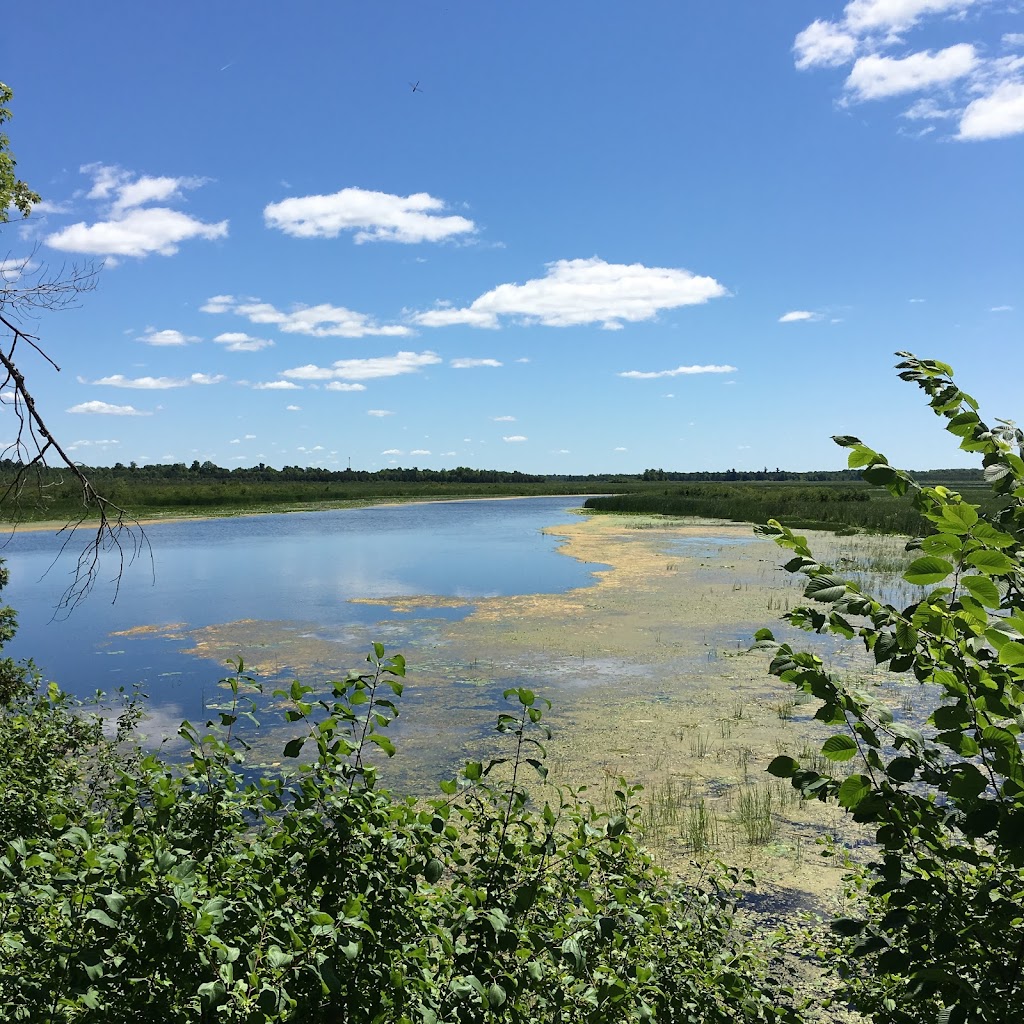 Tay Marsh Lookout Tower | Perth Wildlife Reserve Trails, Perth, ON K7H 3C7, Canada | Phone: (613) 692-3571