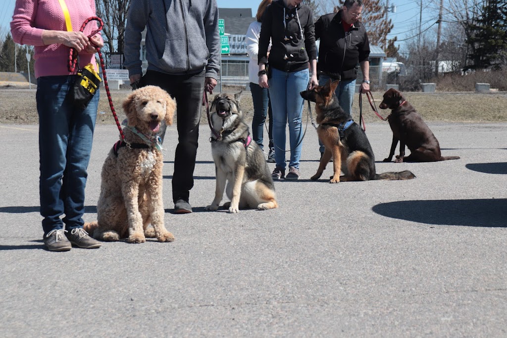 École d’Obéissance Canine du Saguenay | 2885 Bd du Royaume, Jonquière, QC G7X 7V3, Canada | Phone: (418) 550-5524