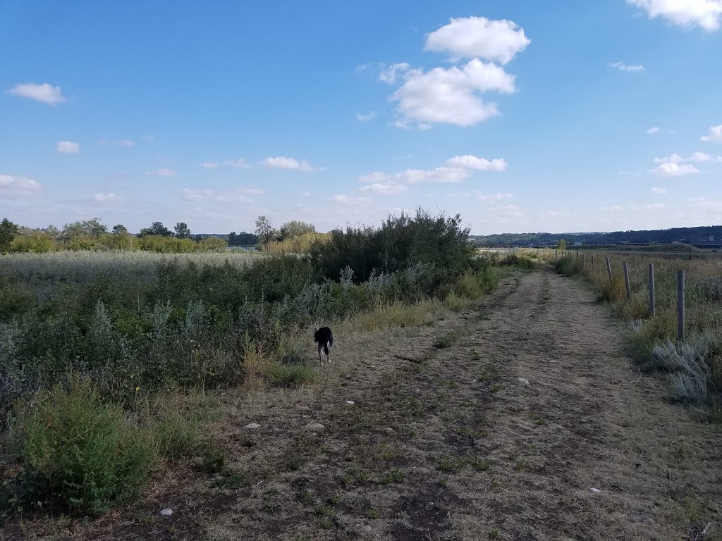 Dog Park | Southeast Calgary, Calgary, AB T0L 0X0, Canada