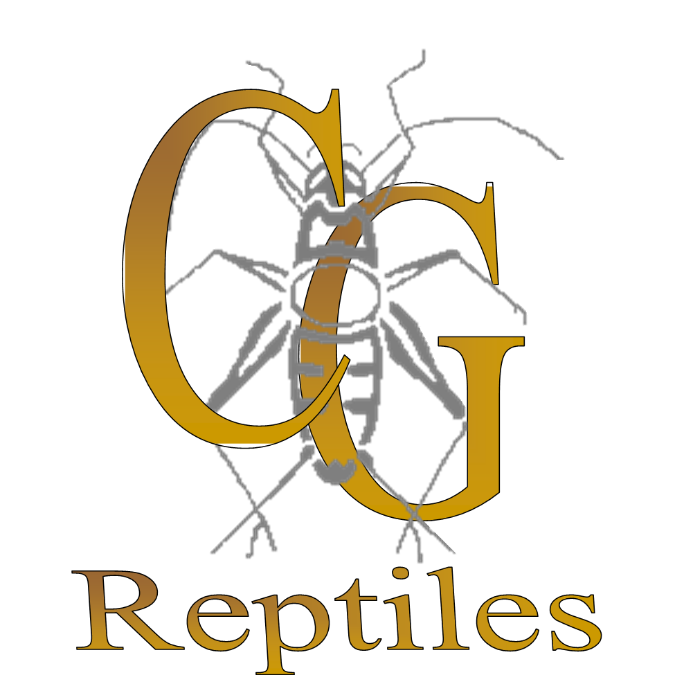 CG Reptiles Inc | 280 Rue Laurier, Saint-Apollinaire, QC G0S 2E0, Canada | Phone: (418) 999-5322