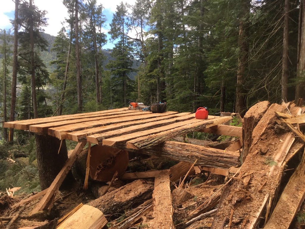 PseudoTsuga Timber | 41160 Rockridge Pl, Squamish, BC V8B 0S4, Canada | Phone: (604) 833-0746