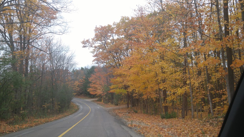 Golden Creek Bird Farm | 2462 S Sparrow Lake Rd, Severn Bridge, ON P0E 1N0, Canada | Phone: (705) 689-9121